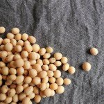 soybeans-182294_1920