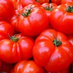 tomatoes-5356_1920